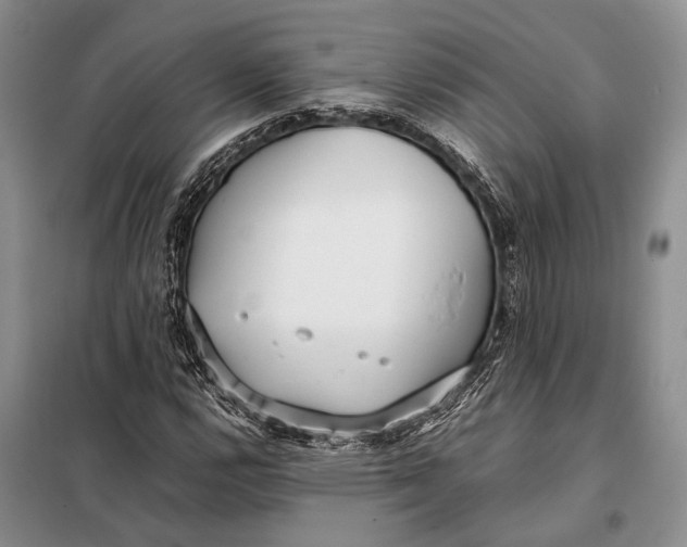 X0000098021112200804181155