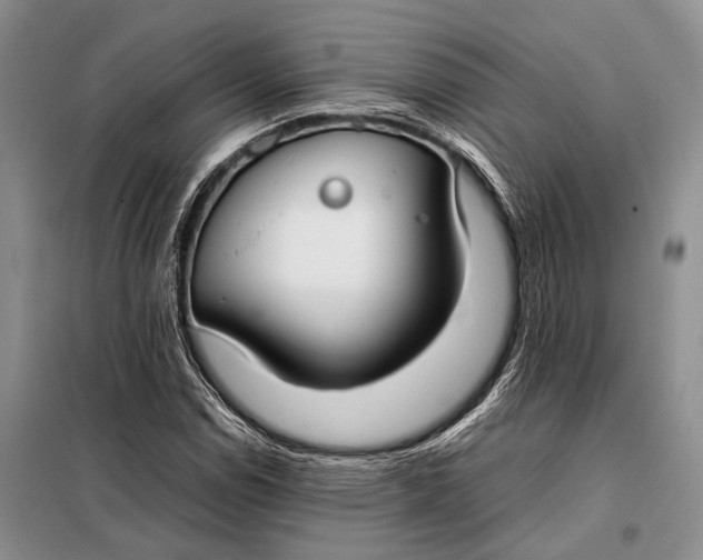 X0000098021114200804181155