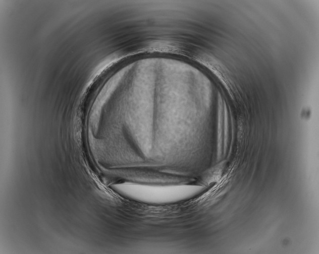 X0000098021115200804181155