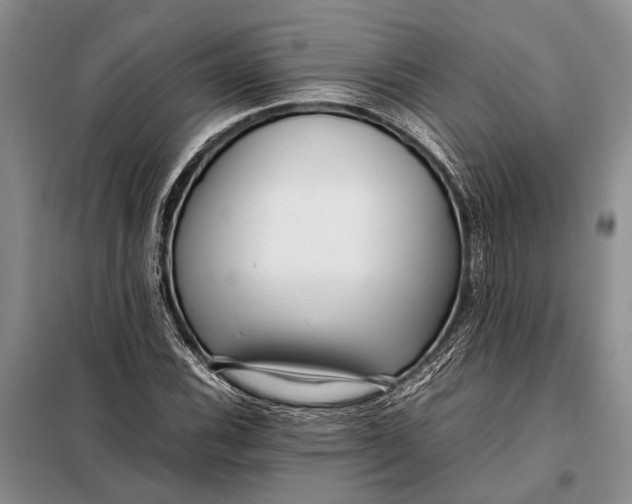 X0000098021116200804181155