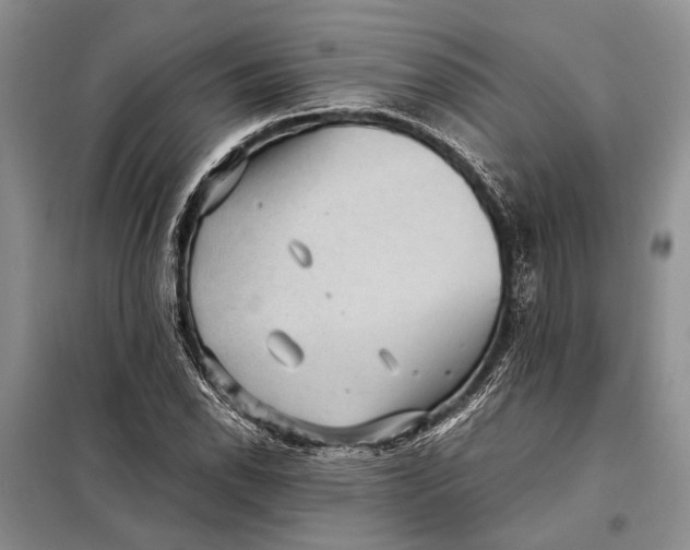 X0000098021118200804181155