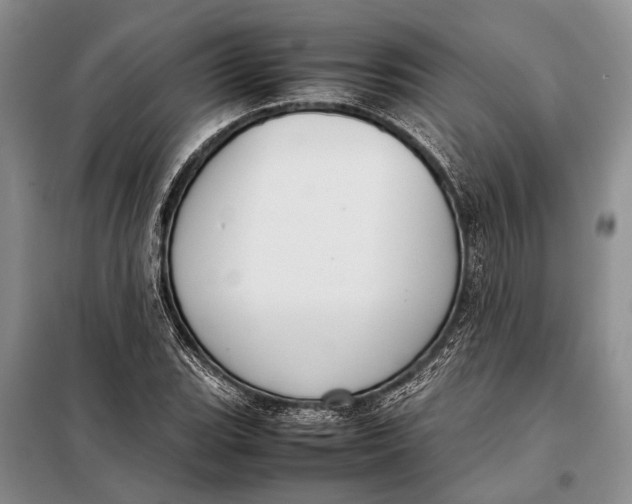 X0000098021119200804181155