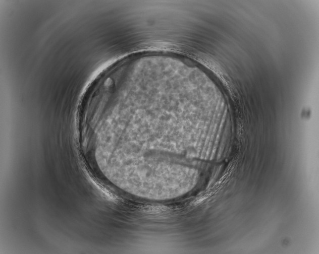 X0000098021120200804181155