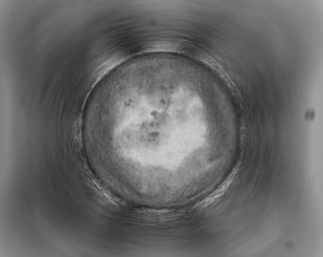 X0000098021121200804181155