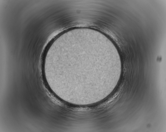 X0000098021122200804181155