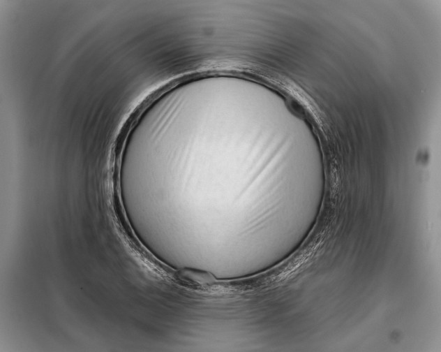 X0000098021124200804181155