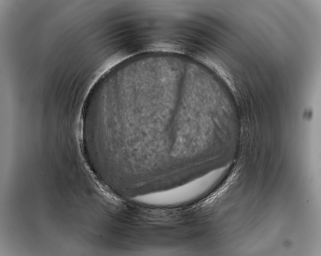 X0000098021125200804181155