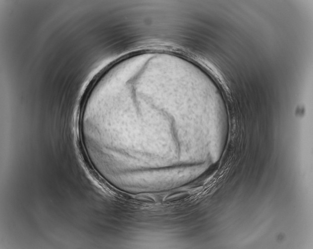 X0000098021128200804181155