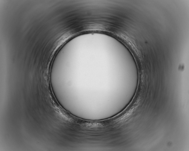 X0000098021129200804181155