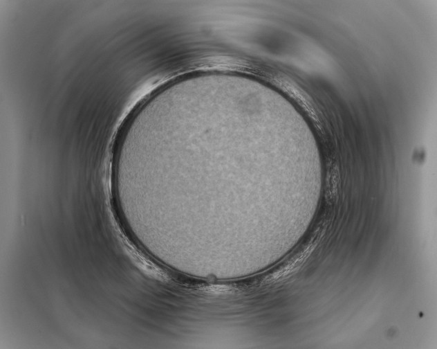 X0000098021130200804181155