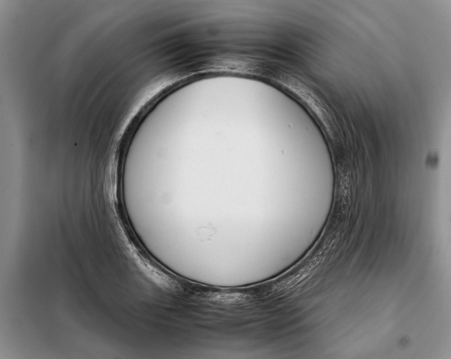 X0000098021131200804181155