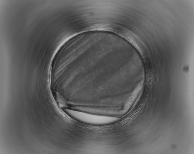 X0000098021132200804181155