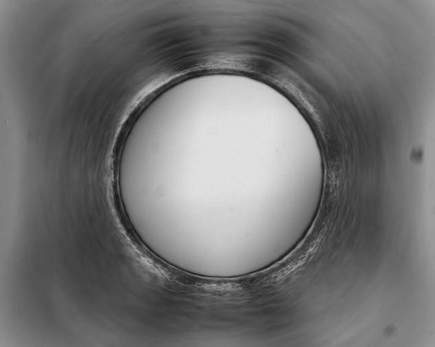 X0000098021133200804181155