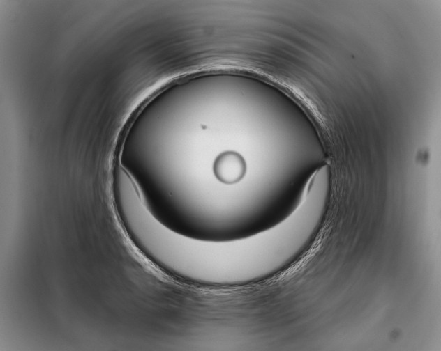 X0000098021134200804181155