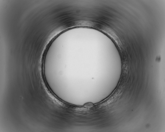 X0000098021135200804181155