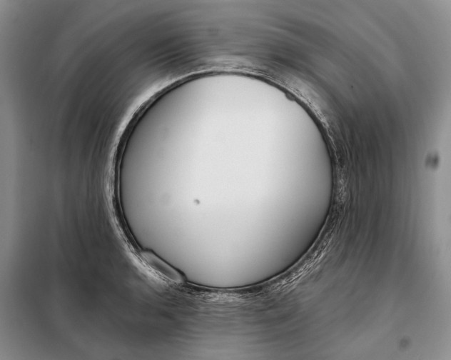 X0000098021136200804181155