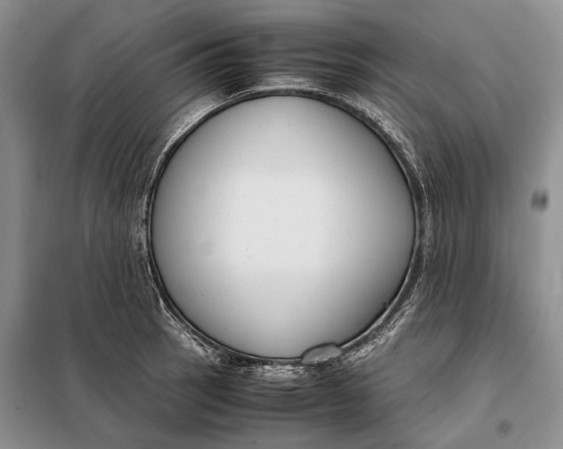 X0000098021137200804181155