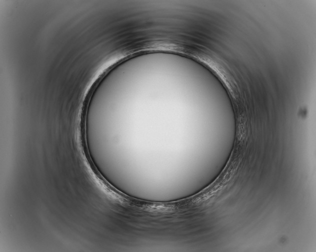 X0000098021139200804181155