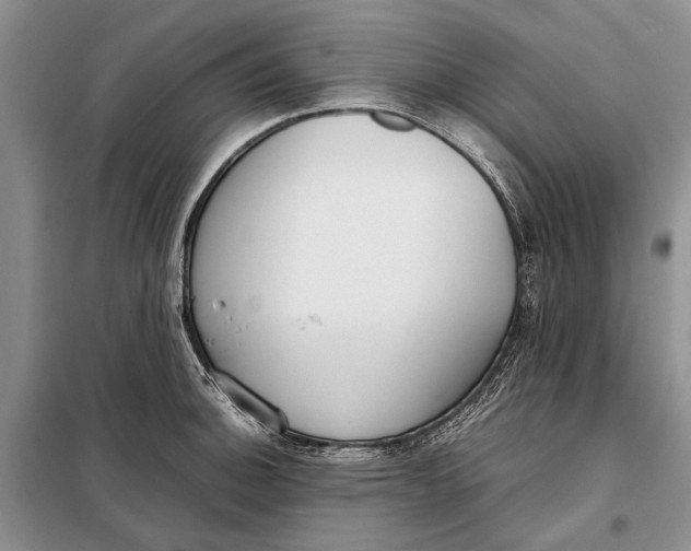 X0000098021140200804181155