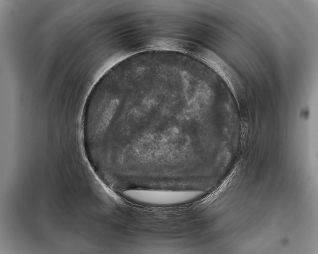 X0000098021141200804181156