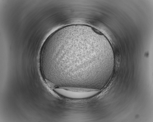 X0000098021142200804181156