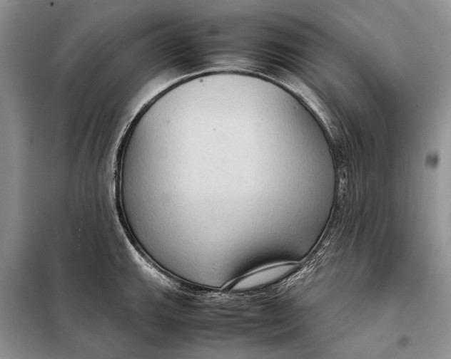 X0000098021143200804181156