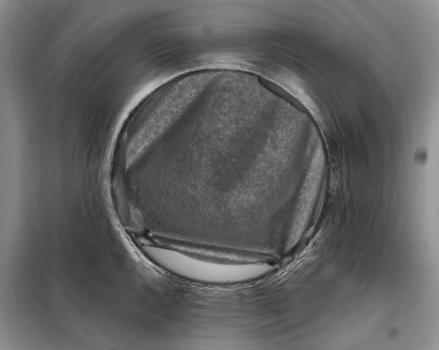 X0000098021144200804181156