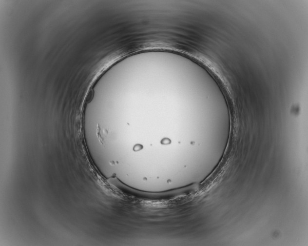 X0000098021145200804181156