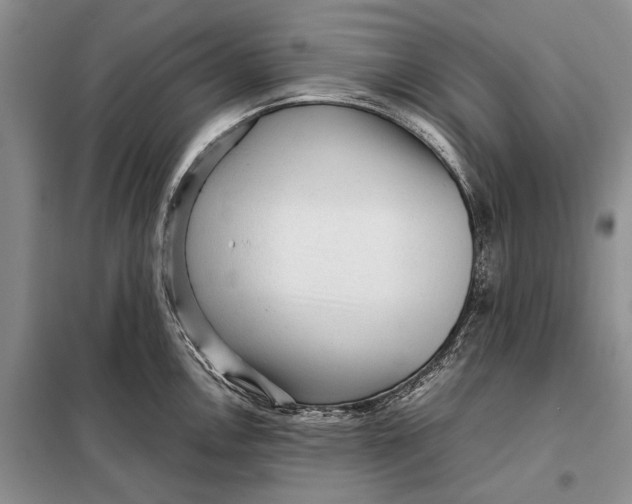 X0000098021146200804181156