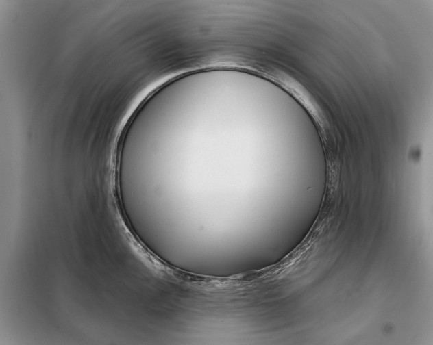 X0000098021148200804181156