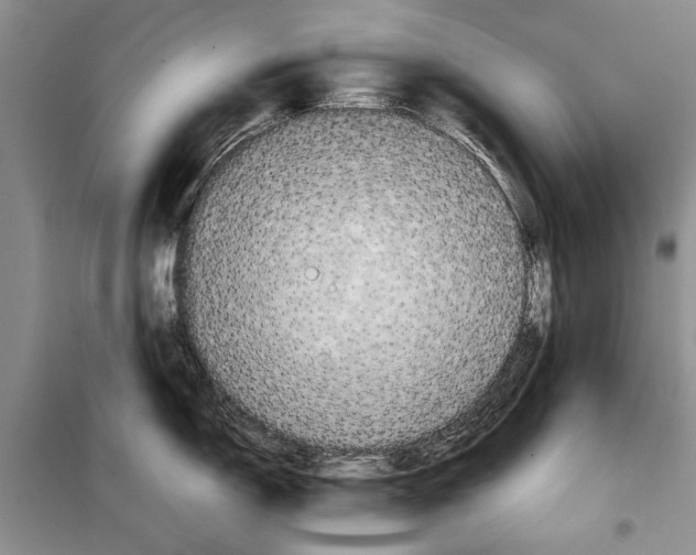 X0000098021150200804181156