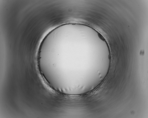 X0000098021152200804181156