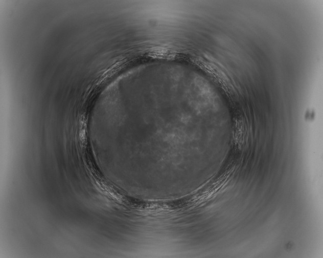 X0000098021154200804181155