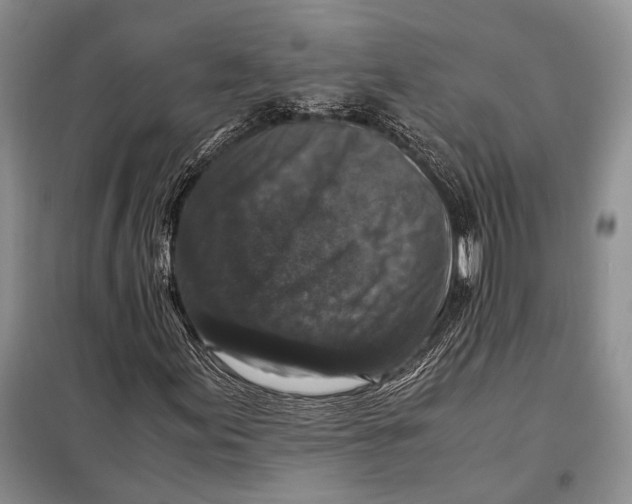 X0000098021155200804181155