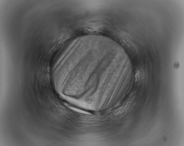 X0000098021156200804181155