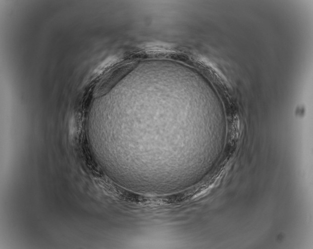 X0000098021157200804181155