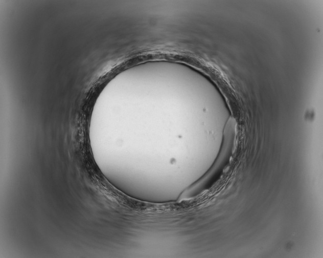 X0000098021159200804181155