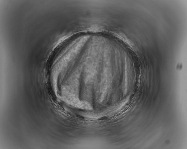 X0000098021160200804181155