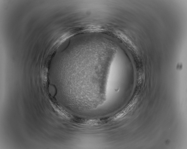 X0000098021161200804181155