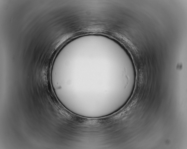 X0000098021162200804181155