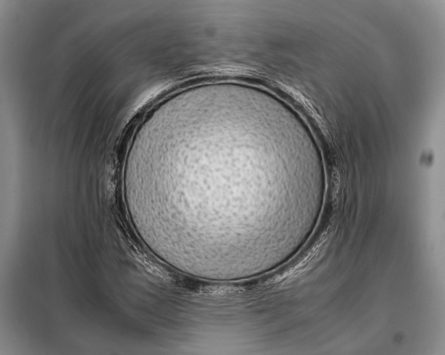 X0000098021163200804181155