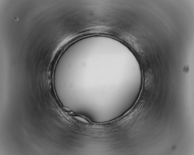 X0000098021164200804181155