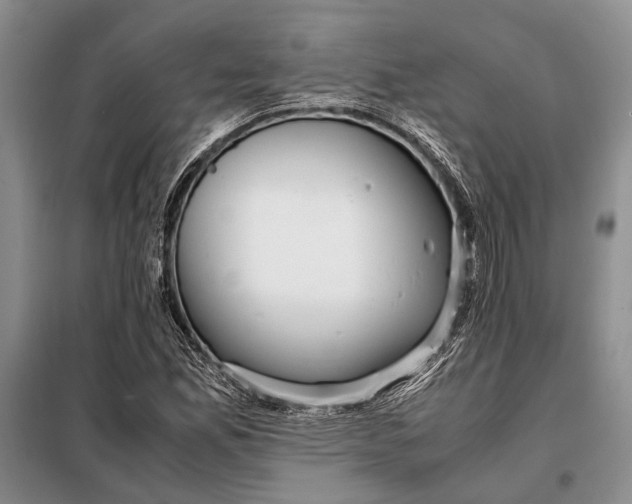 X0000098021165200804181155