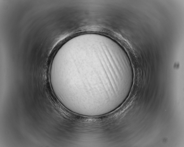 X0000098021166200804181155