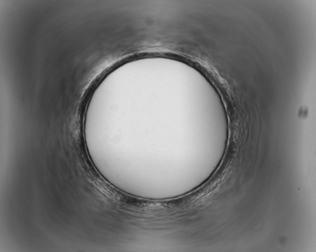 X0000098021167200804181155