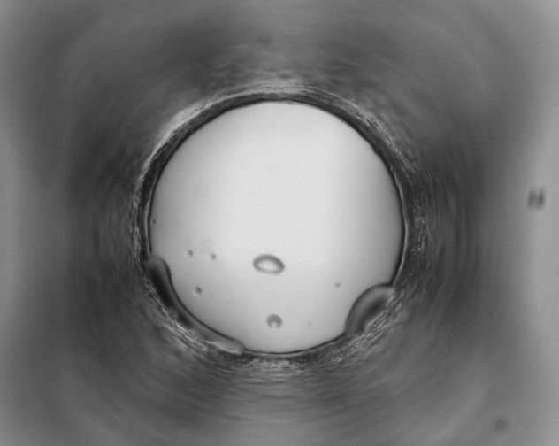 X0000098021168200804181155