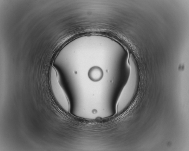 X0000098021169200804181155