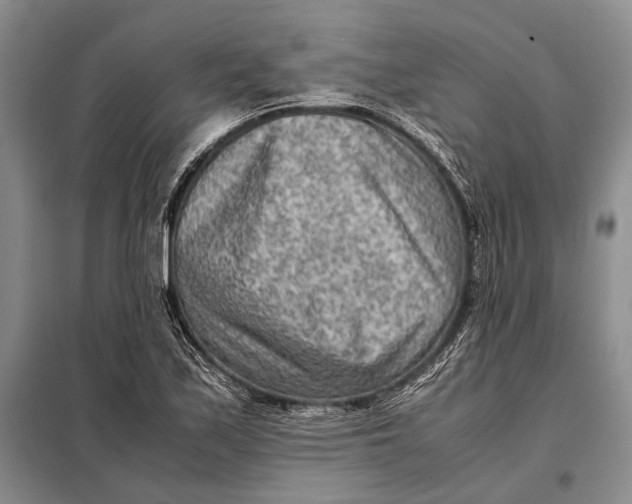 X0000098021171200804181155