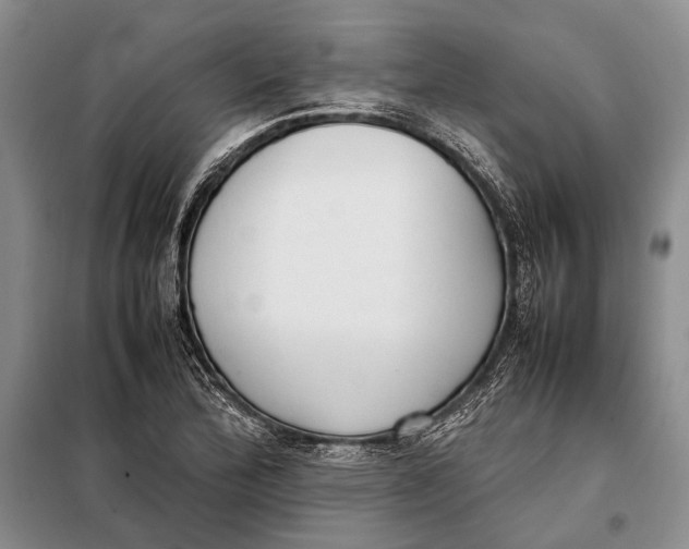 X0000098021172200804181155