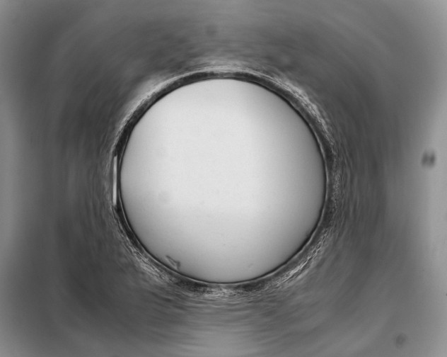 X0000098021175200804181155